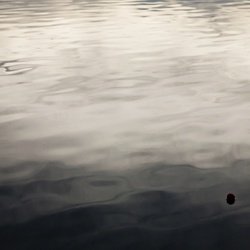 dailyPhoto18